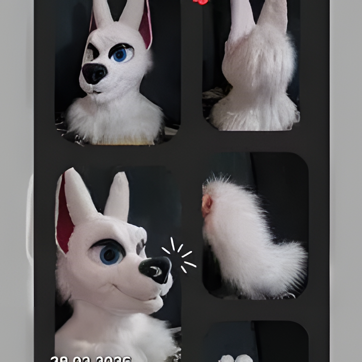 Fursuit to order